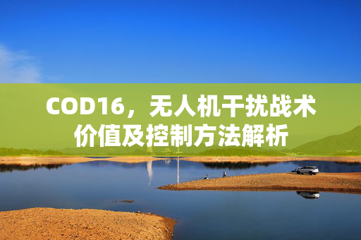 COD16，无人机干扰战术价值及控制方法解析