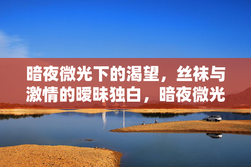 暗夜微光下的渴望，丝袜与激情的暧昧独白，暗夜微光，丝袜与激情的暧昧独白