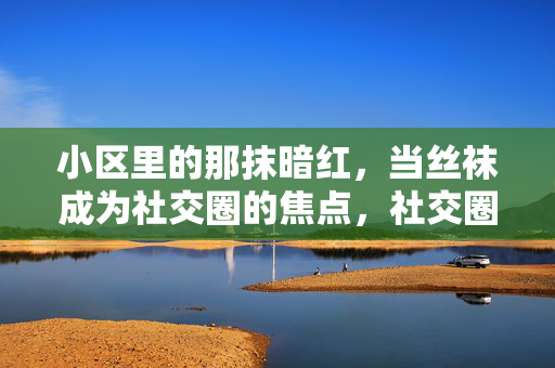 小区里的那抹暗红，当丝袜成为社交圈的焦点，社交圈焦点，小区里那抹惹眼的暗红丝袜