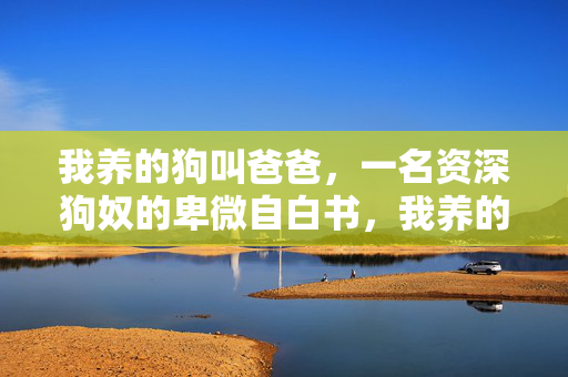 我养的狗叫爸爸，一名资深狗奴的卑微自白书，我养的狗叫爸爸，资深狗奴的卑微自白书