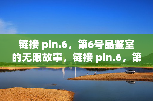 链接 pin.6，第6号品鉴室的无限故事，链接 pin.6，第6号品鉴室的无限故事