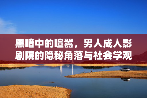 黑暗中的喧嚣，男人成人影剧院的隐秘角落与社会学观察