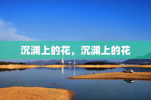 沉渊上的花，沉渊上的花
