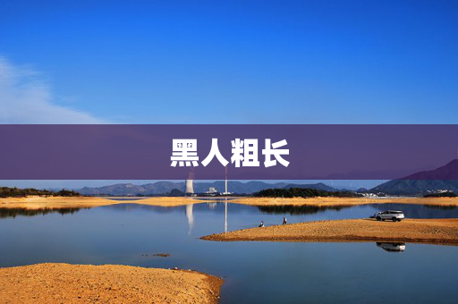 黑人粗长