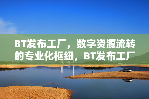 BT发布工厂，数字资源流转的专业化枢纽，BT发布工厂，数字资源流转的专业化枢纽