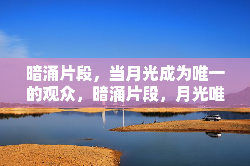 暗涌片段，当月光成为唯一的观众，暗涌片段，月光唯一观众