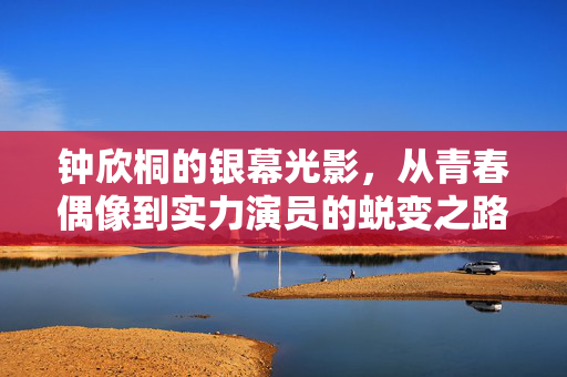 钟欣桐的银幕光影，从青春偶像到实力演员的蜕变之路，钟欣桐，银幕光影中的蜕变之路