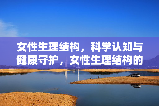 女性生理结构，科学认知与健康守护，女性生理结构的科学认知与健康守护
