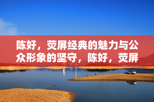 陈好，荧屏经典的魅力与公众形象的坚守，陈好，荧屏经典魅力与公众形象坚守