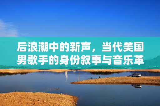 后浪潮中的新声，当代美国男歌手的身份叙事与音乐革命，后浪潮新声，当代美国男歌手的身份叙事与音乐革命