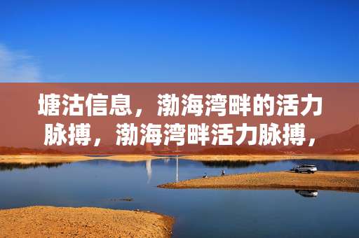 塘沽信息，渤海湾畔的活力脉搏，渤海湾畔活力脉搏，塘沽信息