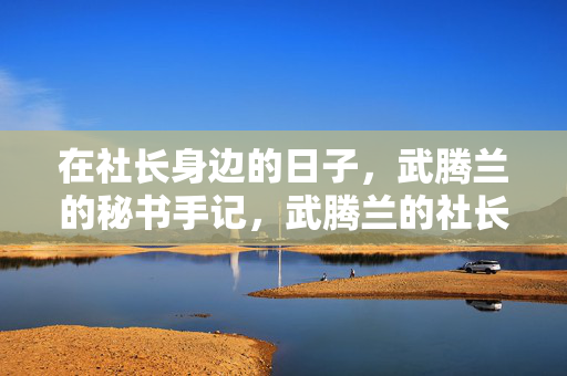 在社长身边的日子，武腾兰的秘书手记，武腾兰的社长秘书手记