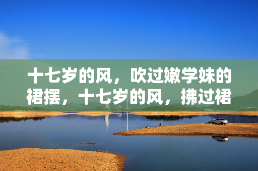 十七岁的风，吹过嫩学妹的裙摆，十七岁的风，拂过裙角