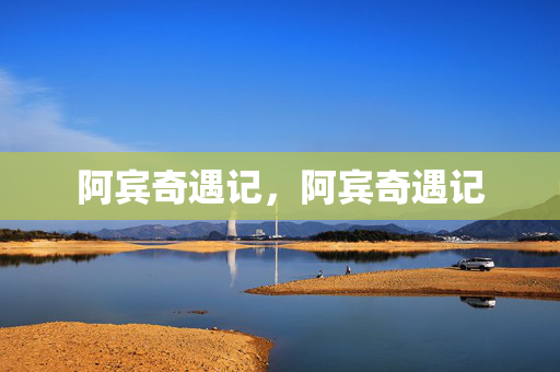 阿宾奇遇记，阿宾奇遇记