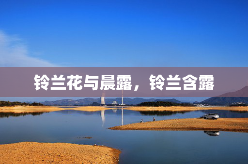 铃兰花与晨露，铃兰含露