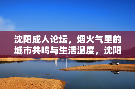 沈阳成人论坛，烟火气里的城市共鸣与生活温度，沈阳成人论坛，烟火气里的城市共鸣与生活温度