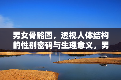 男女骨骼图，透视人体结构的性别密码与生理意义，男女骨骼图，透视人体结构的性别密码与生理意义