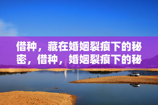 借种，藏在婚姻裂痕下的秘密，借种，婚姻裂痕下的秘密
