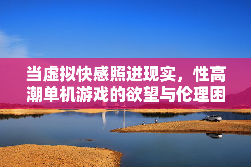 当虚拟快感照进现实，性高潮单机游戏的欲望与伦理困境
