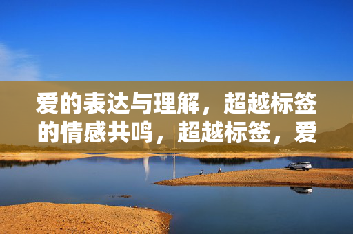 爱的表达与理解，超越标签的情感共鸣，超越标签，爱的表达与情感共鸣