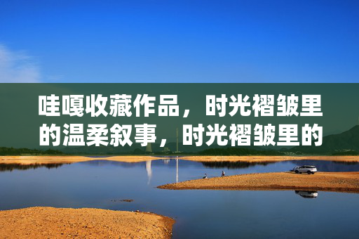 哇嘎收藏作品，时光褶皱里的温柔叙事，时光褶皱里的温柔收藏