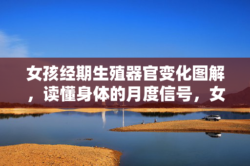 女孩经期生殖器官变化图解，读懂身体的月度信号，女孩经期生殖器官变化图解，读懂身体的月度信号