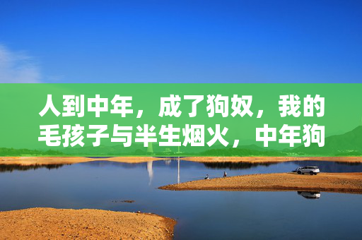 人到中年，成了狗奴，我的毛孩子与半生烟火，中年狗奴，毛孩子与我的半生烟火