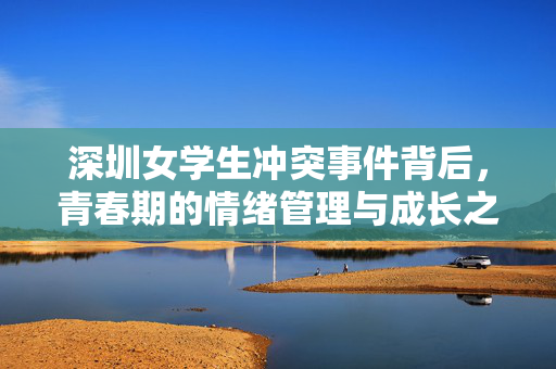 深圳女学生冲突事件背后，青春期的情绪管理与成长之问，深圳女学生冲突事件，青春期情绪管理与成长之问