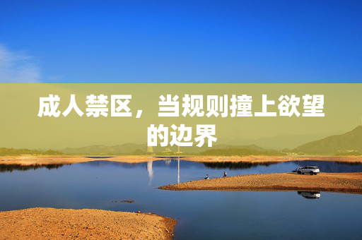 成人禁区，当规则撞上欲望的边界