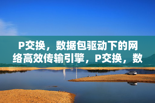 P交换，数据包驱动下的网络高效传输引擎，P交换，数据包驱动的网络高效传输引擎