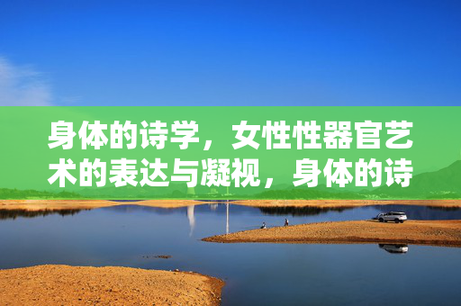 身体的诗学，女性性器官艺术的表达与凝视，身体的诗学，女性性器官艺术的表达与凝视