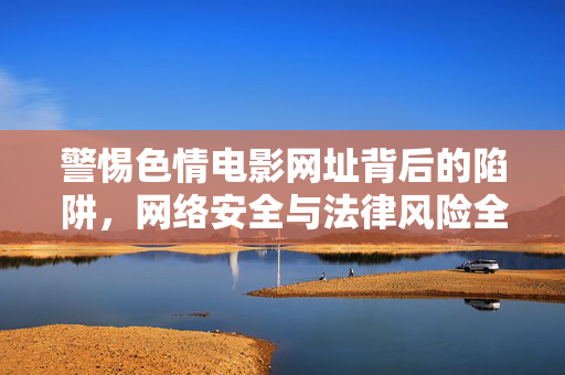 警惕色情电影网址背后的陷阱，网络安全与法律风险全解析，警惕色情电影网址陷阱，网络安全与法律风险全解析
