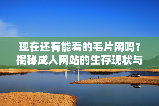 现在还有能看的毛片网吗？揭秘成人网站的生存现状与隐形风险，现在还有能看的成人网站吗？揭秘生存现状与隐形风险