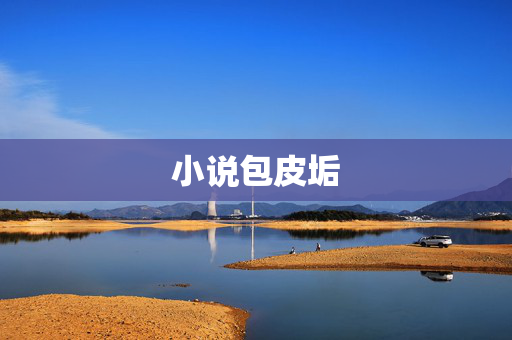 小说包皮垢