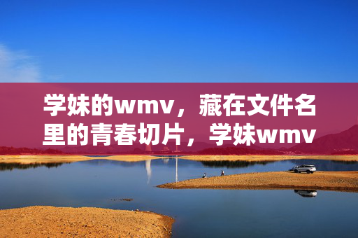 学妹的wmv，藏在文件名里的青春切片，学妹wmv，藏在文件名里的青春切片