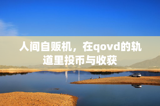 人间自贩机，在qovd的轨道里投币与收获
