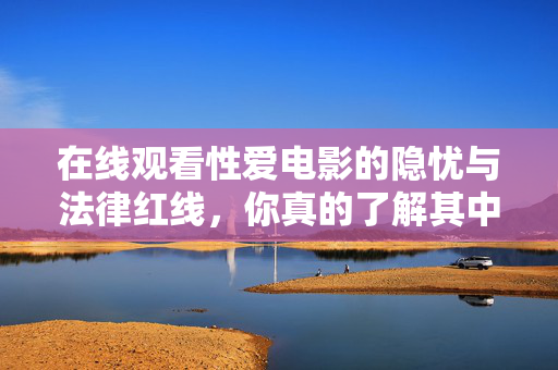 在线观看性爱电影的隐忧与法律红线，你真的了解其中的风险吗？在线观看性爱电影，隐忧与法律红线的风险警示