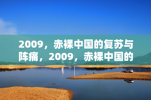 2009，赤裸中国的复苏与阵痛，2009，赤裸中国的复苏与阵痛