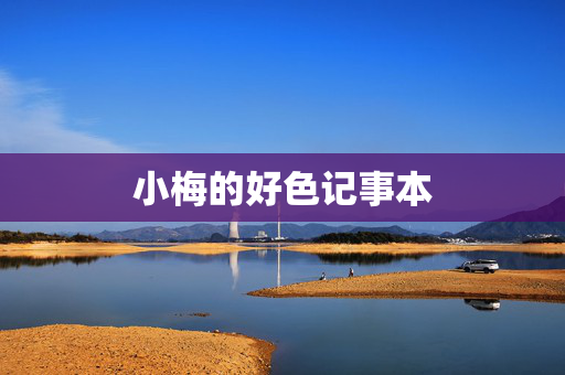 小梅的好色记事本