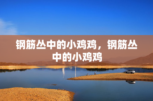 钢筋丛中的小鸡鸡，钢筋丛中的小鸡鸡