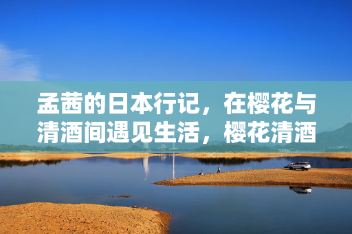 孟茜的日本行记，在樱花与清酒间遇见生活，樱花清酒间，孟茜遇见日本生活