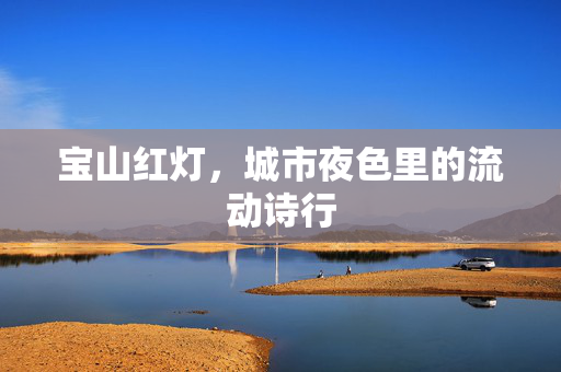 宝山红灯，城市夜色里的流动诗行