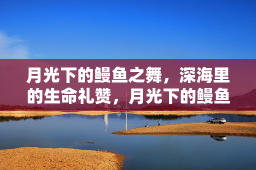 月光下的鳗鱼之舞，深海里的生命礼赞，月光下的鳗鱼之舞，深海生命礼赞