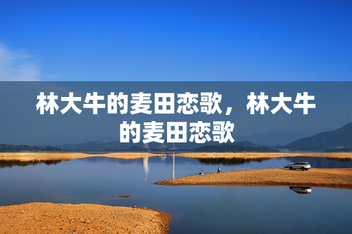 林大牛的麦田恋歌，林大牛的麦田恋歌