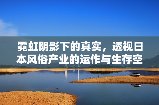 霓虹阴影下的真实，透视日本风俗产业的运作与生存空间
