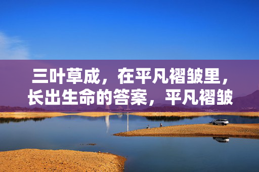 三叶草成,在平凡褶皱里,长出生命的答案,平凡褶皱里,三叶草长出生命答案 三叶草成,在平凡褶皱里,长出生命的答案,平凡褶皱里,三叶草长出生命答案