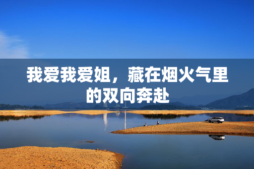 我爱我爱姐,藏在烟火气里的双向奔赴 我爱我爱姐,藏在烟火气里的双向奔赴