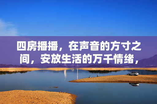 四房播播，在声音的方寸之间，安放生活的万千情绪，四房播播，声音方寸间，安放万千情绪