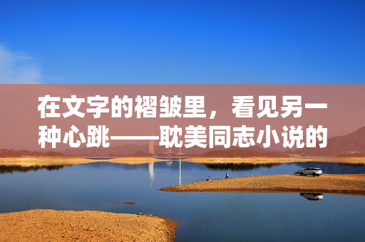 在文字的褶皱里,看见另一种心跳——耽美同志小说的二十载光影,文字褶皱里的另一种心跳——耽美同志小说二十载光影 在文字的褶皱里,看见另一种心跳——耽美同志小说的二十载光影,文字褶皱里的另一种心跳——耽美同志小说二十载光影