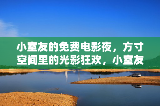 小室友的免费电影夜，方寸空间里的光影狂欢，小室友的方寸光影狂欢夜